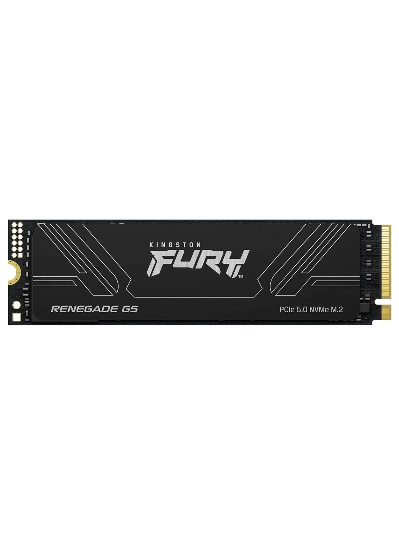 Kingston Technology FURY RENEGADE G5 - 4TB NVME