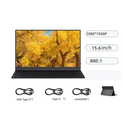 Portable Monitor - wpenshiDM125 16 inches 2560 x 1600