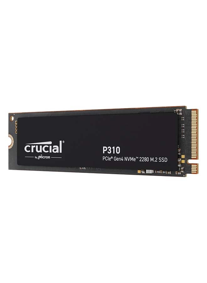 P310 - 2TB M.2