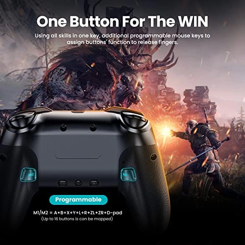 Switch Controller - switch 2/switch/lite/oled/PC windows (wired mode)