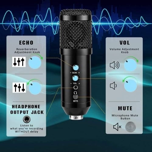 SE0069DG9 USB Microphone