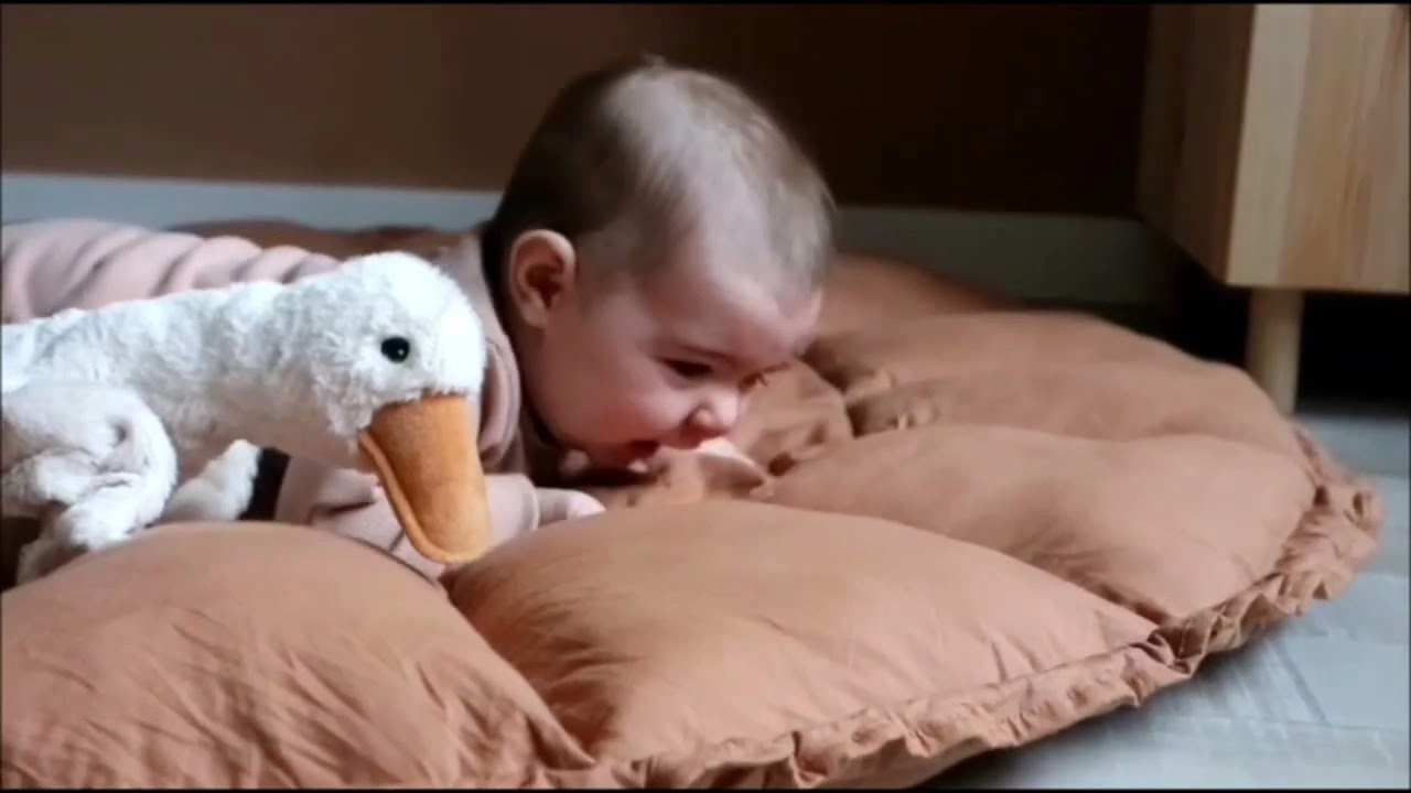 Bloom - Suitable for 3 years & above