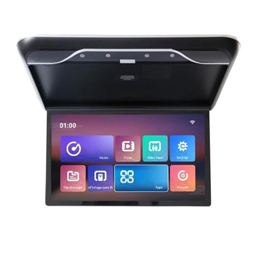 Roofmount LCD Monitor - 19in