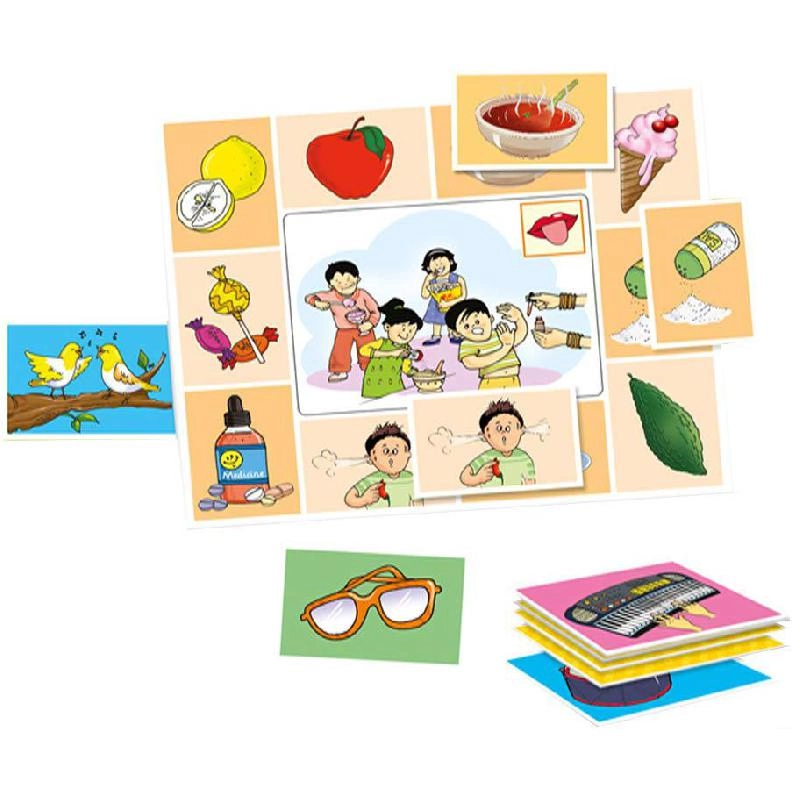 Our Five Senses - 5 Years and Above 37 Pieces