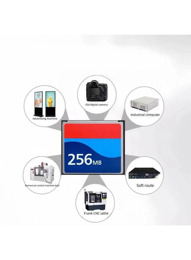 CompactFlash Memory Card - 0.25GB