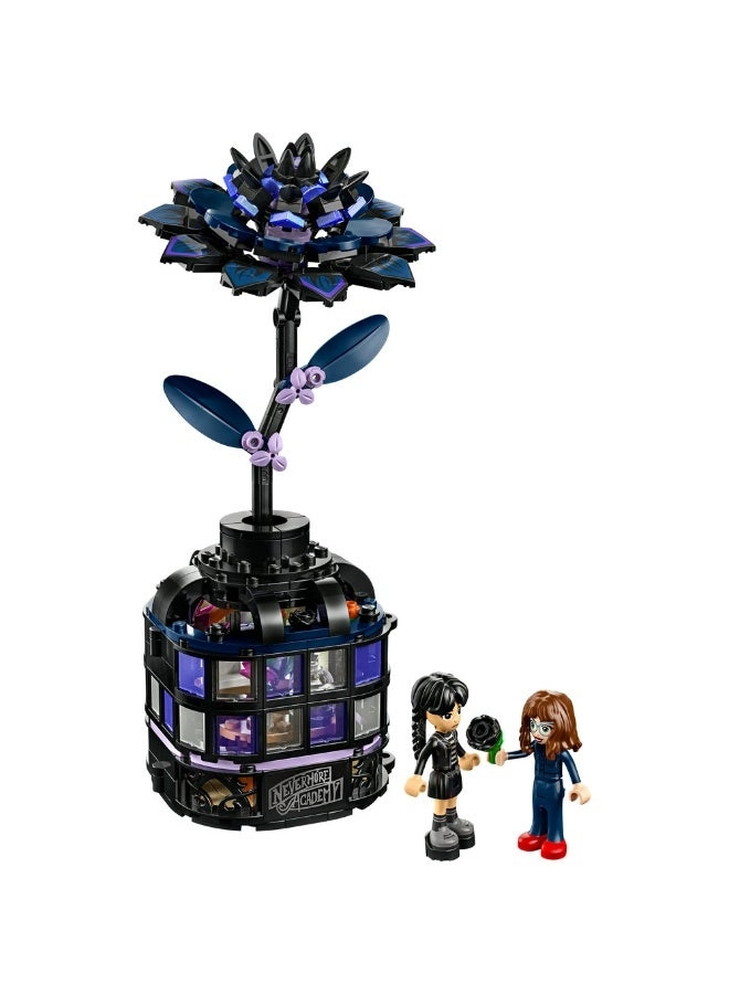 Wednesday Black Dahlia Flower