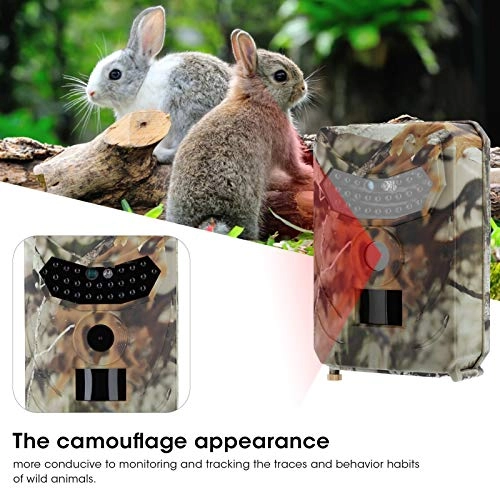 Trail Camera - 12MP
