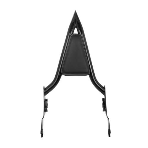 Havoc Sissy Bar