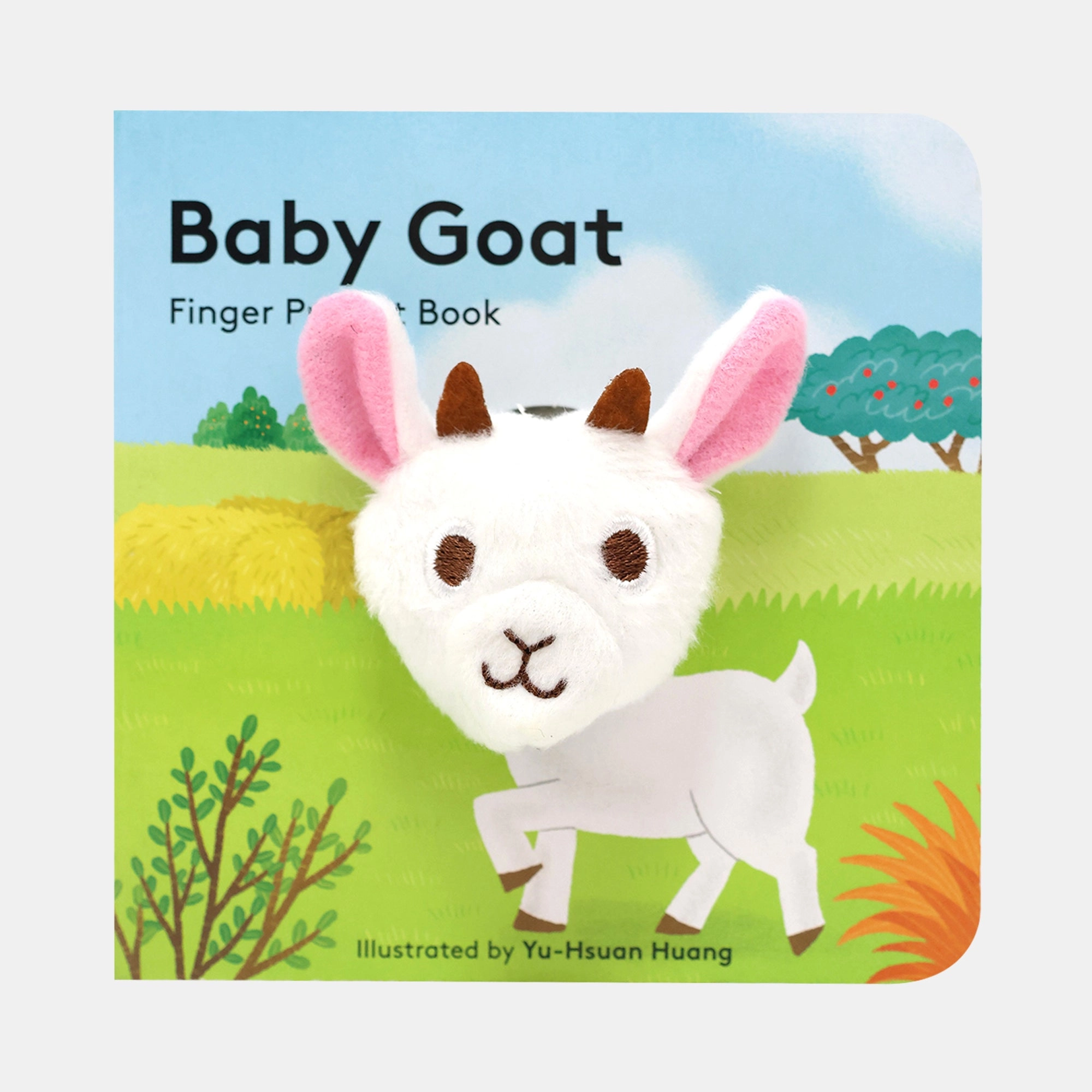 Baby Goat