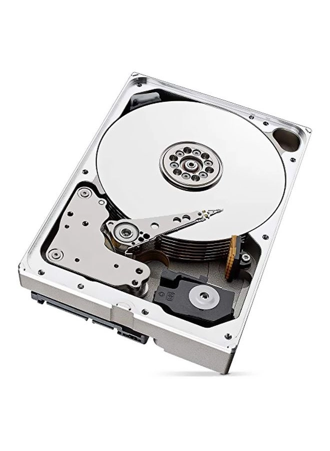 IronWolf 3.5" 7200rpm 256MB SATA 6Gb/s (ST10000VN0008) - 10TB