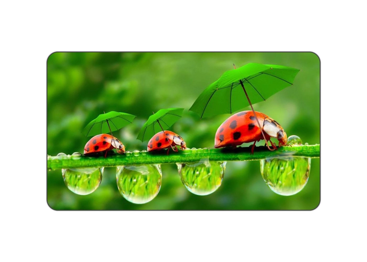 Neo LadyBird Family Rubber Mouse Pad - 26x21 cm