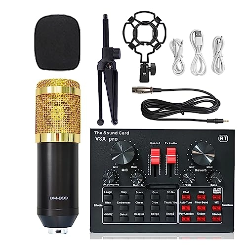 BM 800 + V8XPRO + Tripod Wireless Microphone
