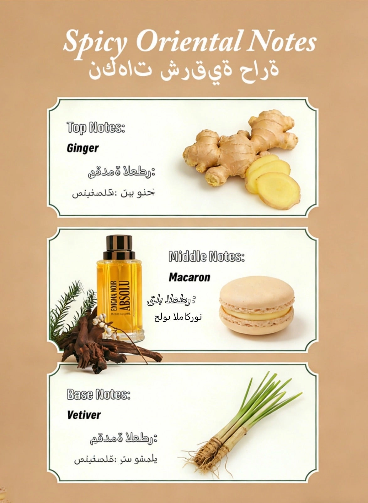 Spicy aromatic men's perfume Eau de Parfum 100ml