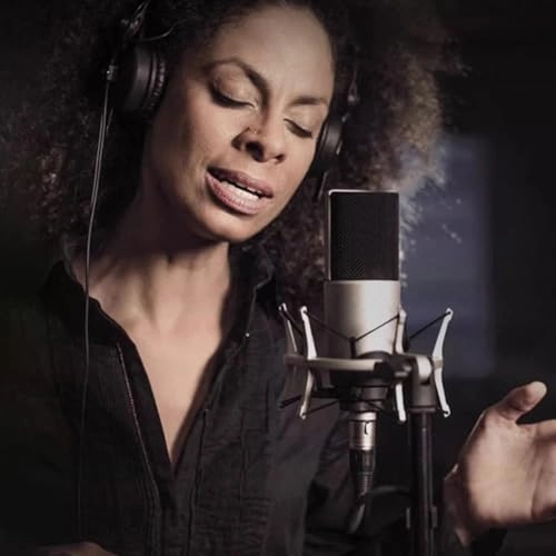 ZX89 Wired Microphone - 48V Large Diaphragm