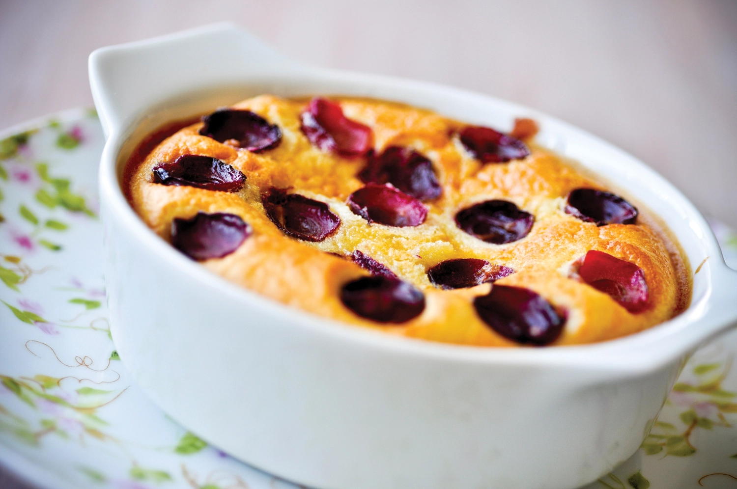 (Renewed) Avance Collection XL HD9240/91-cr