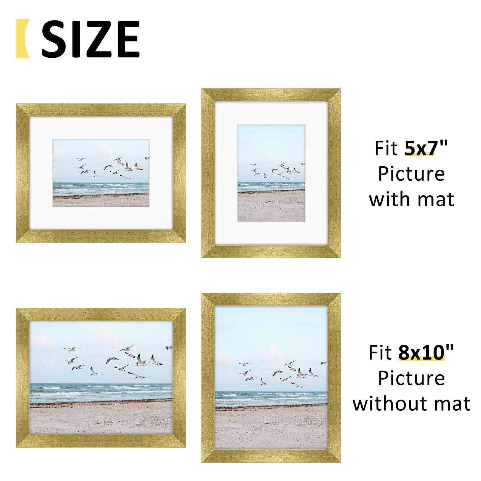 Single Picture Frame - 8x10 1