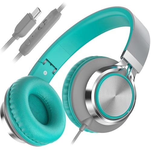 C8USBC Wired Headphone