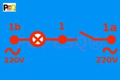 Switch 1 Contact with Lighting - 15A 250V