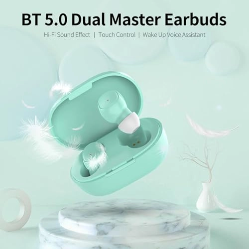 qk409oyxvh-P Wireless Earbud