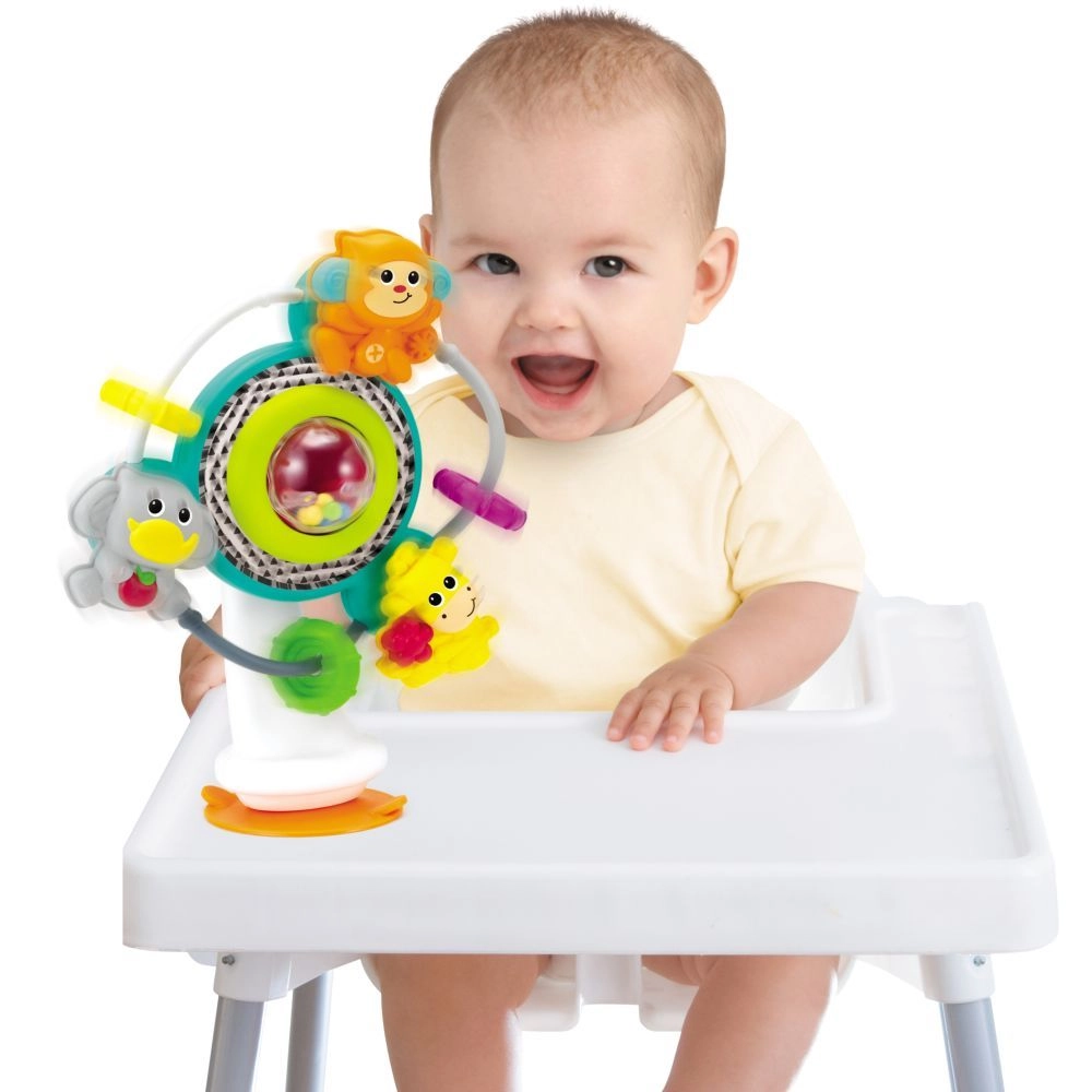 Bebee's Ferris Wheel - 6 months