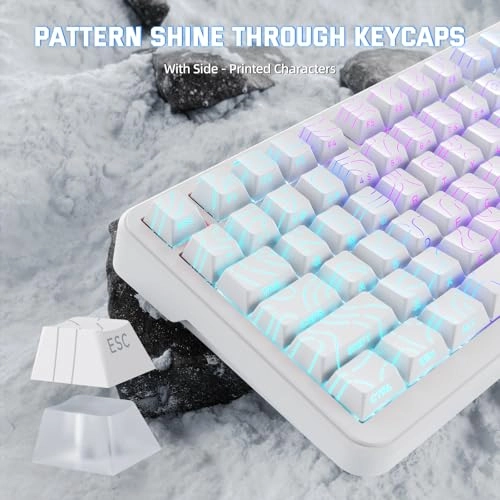 M82 HE - Wired/Wireless