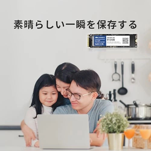 XE300 SE - 512GB M.2 2280