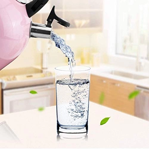 Tea Kettle - Stainless steel