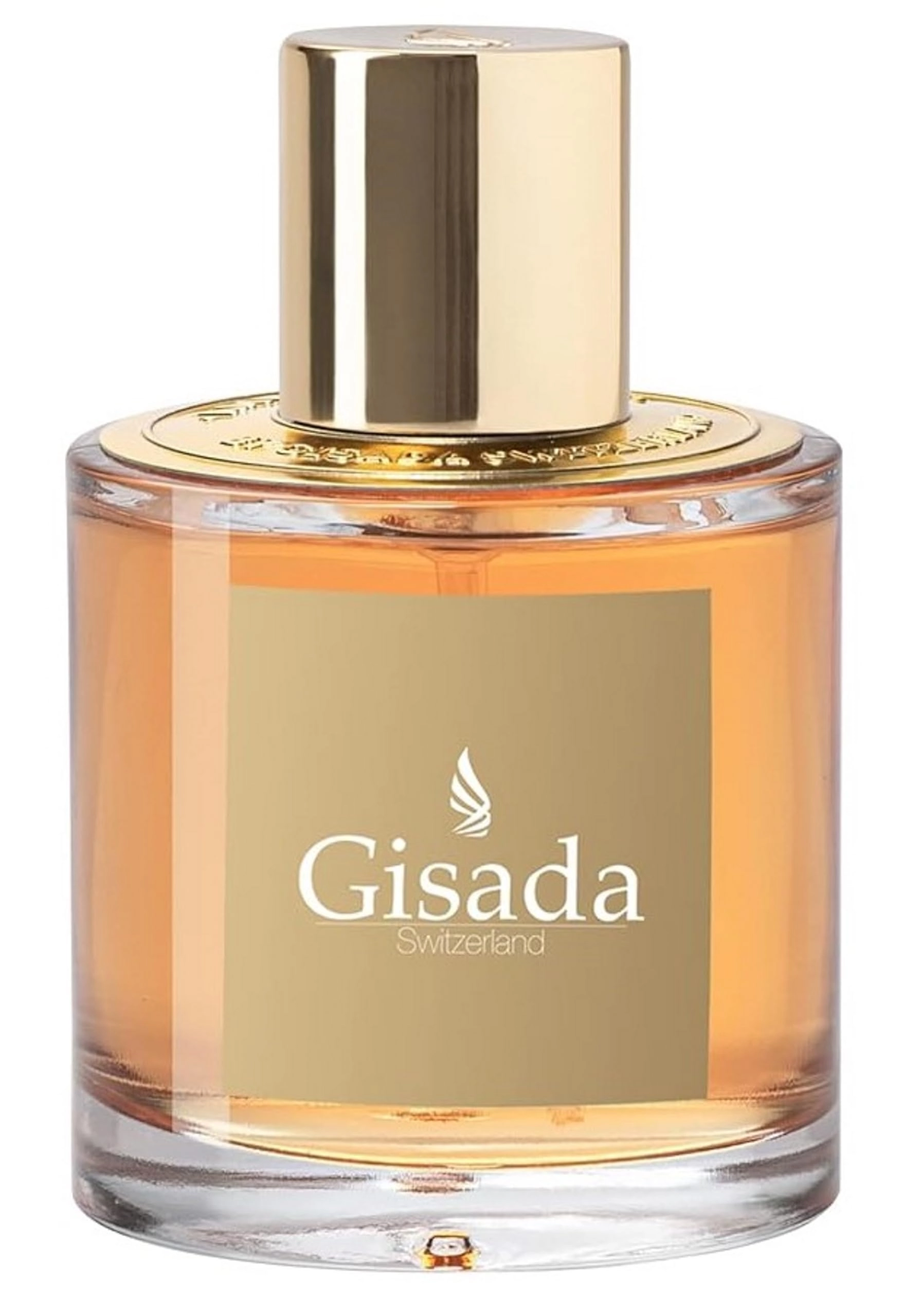 Swissfragrance GmbH Ambassador Women Eau de Parfum 100 ml