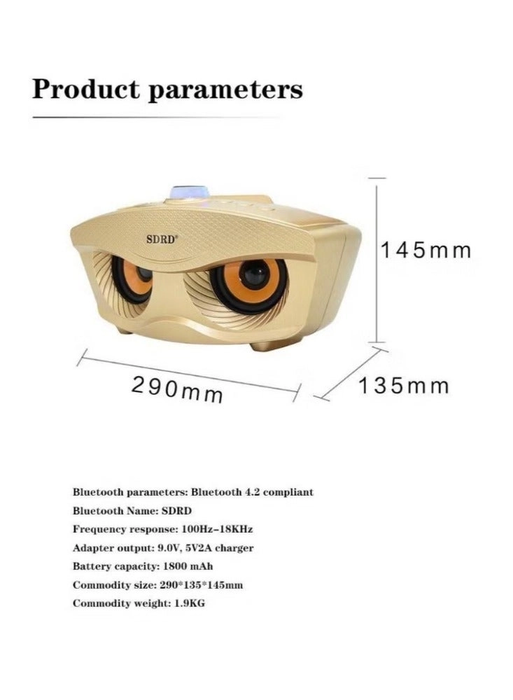 SD-306 - Dual Wireless Mic