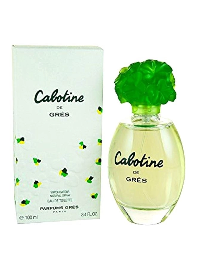 Perfume For Women Eau de Toilette 100ml