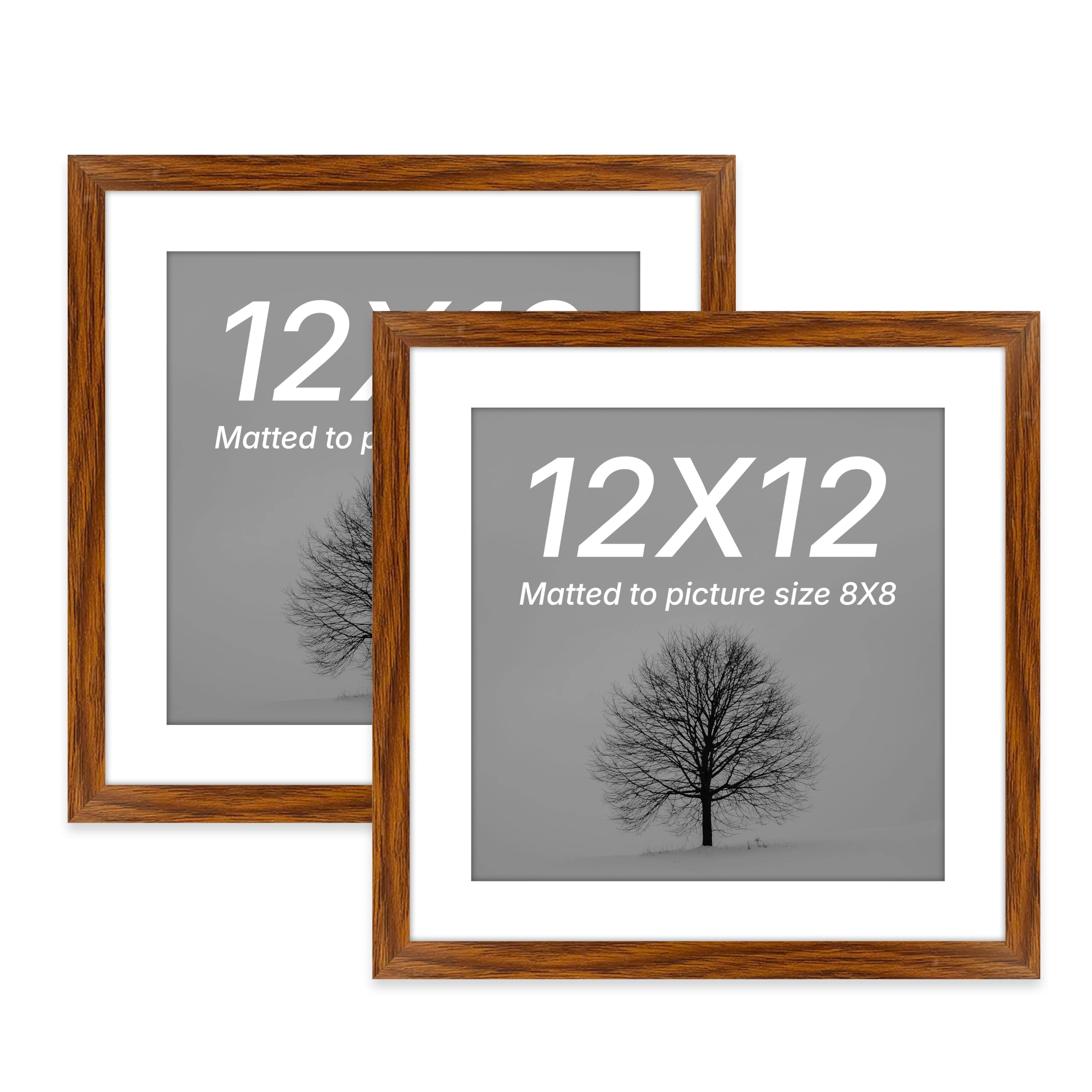 Document Frame - 12x12 Inch