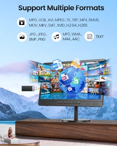 PTV196B - 1080p 19 Inches