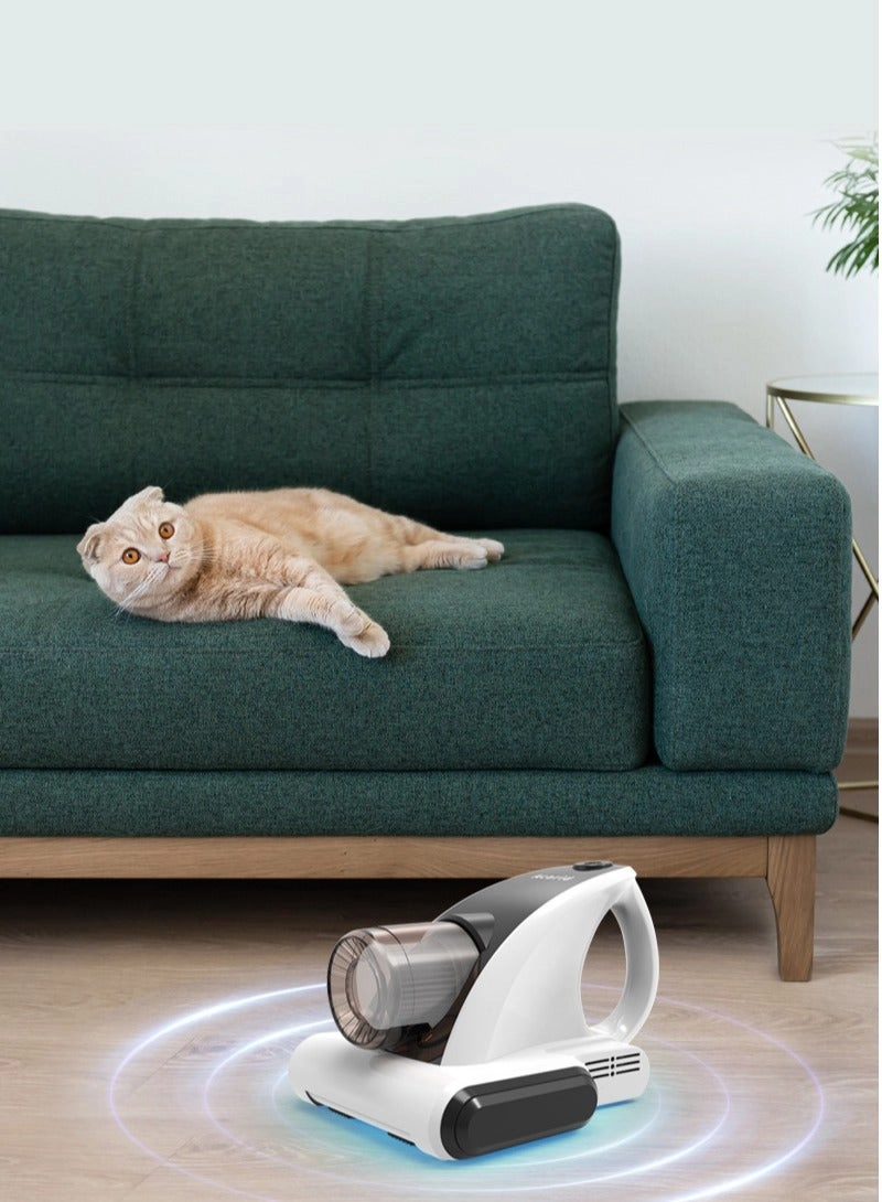 Dust Mite Vacuum Cleaner (GLS50)