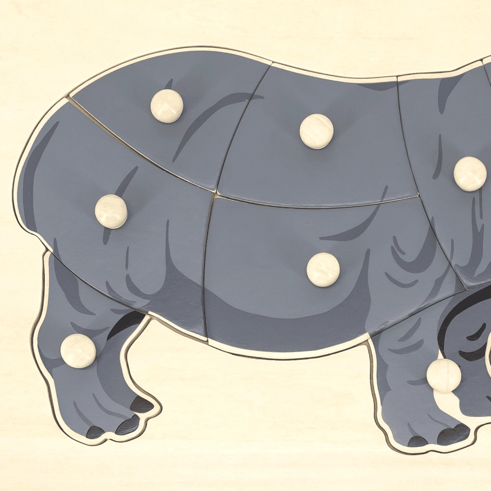 Montessori Wooden Knob Puzzle Set - 18 months & above 8 Pcs