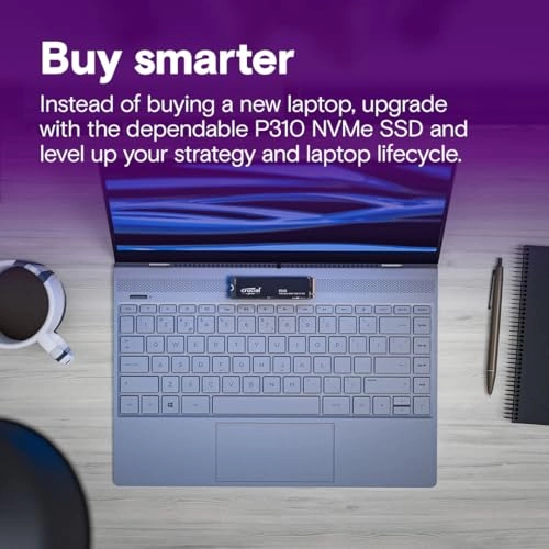 P310 - 500GB M.2 2280