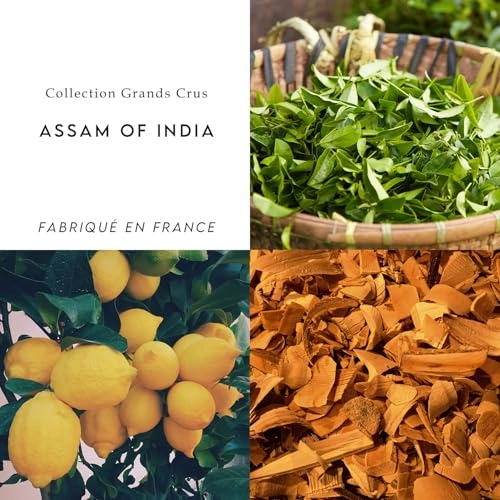 Assam of India Eau de Parfum 100ml