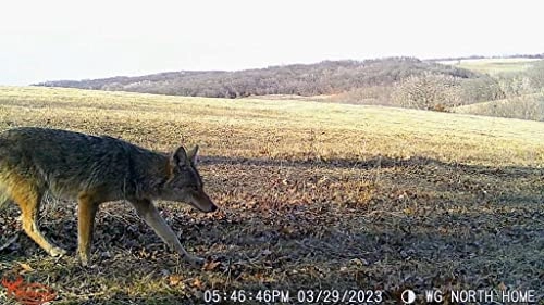 Terra Extreme XD - 16MP