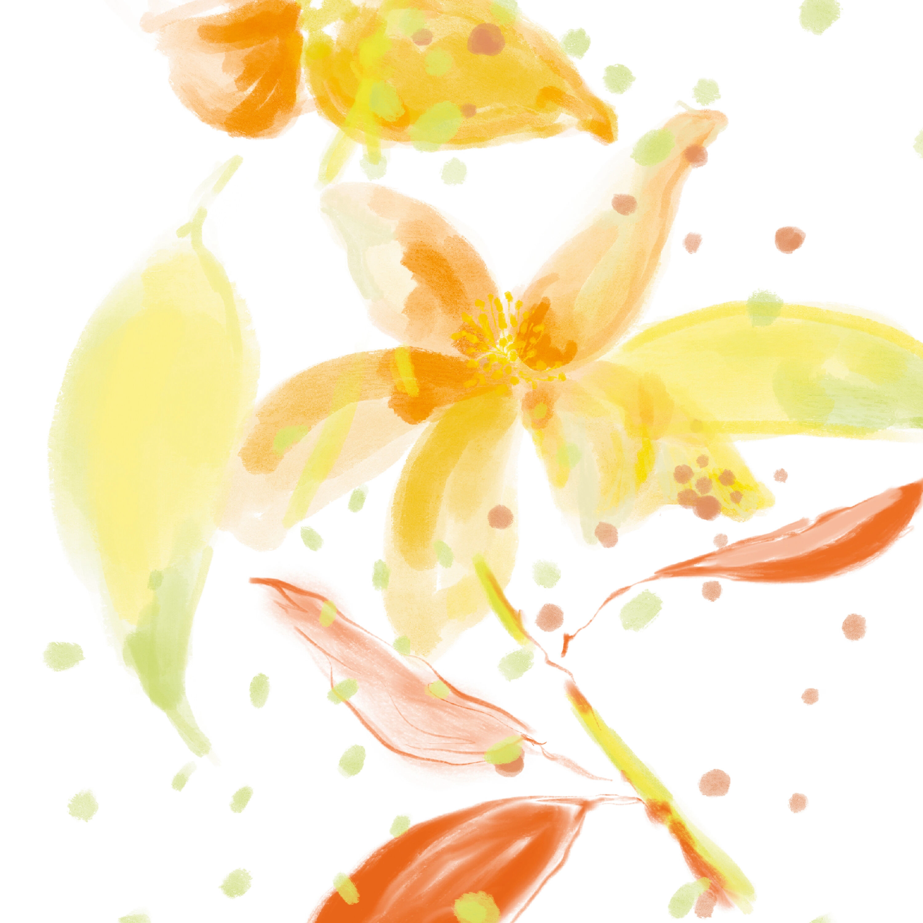 L'Eau Rêvée d'Isa Eau de Toilette - 100ml