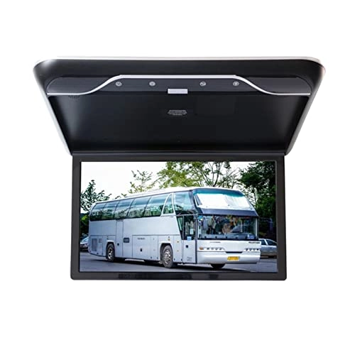 Car Ceiling Display - 19 Inch