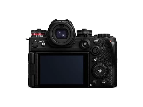 LUMIX S1
