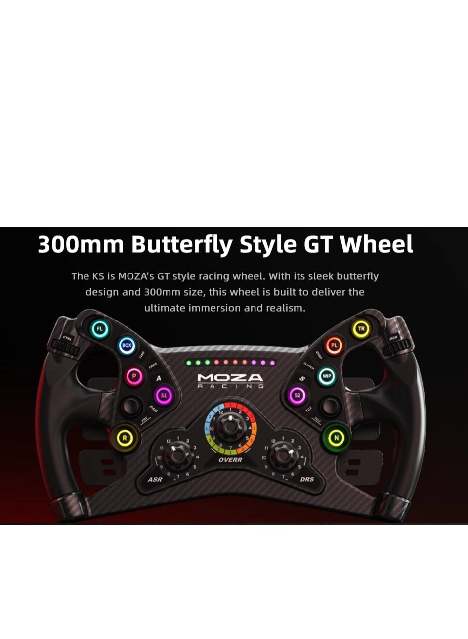 RS V2 Racing Wheel & Pedals