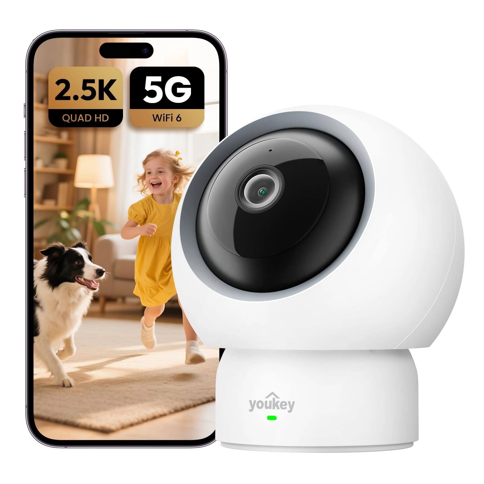 KEYLIFE INTERNATIONAL TECHNOLOGY LIMITED P310