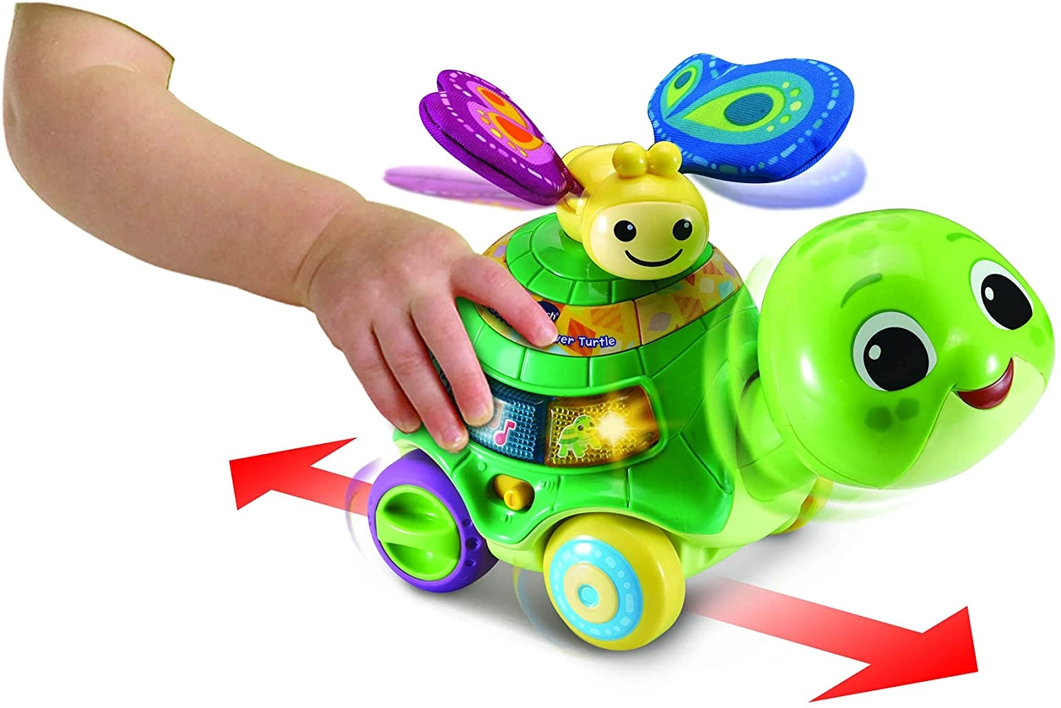 Push & Discover Turtle - 2-in-1