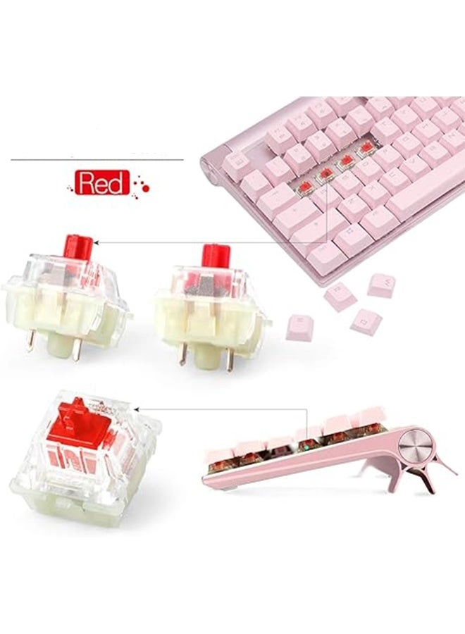 KeyBoard Switch - 30 Pcs