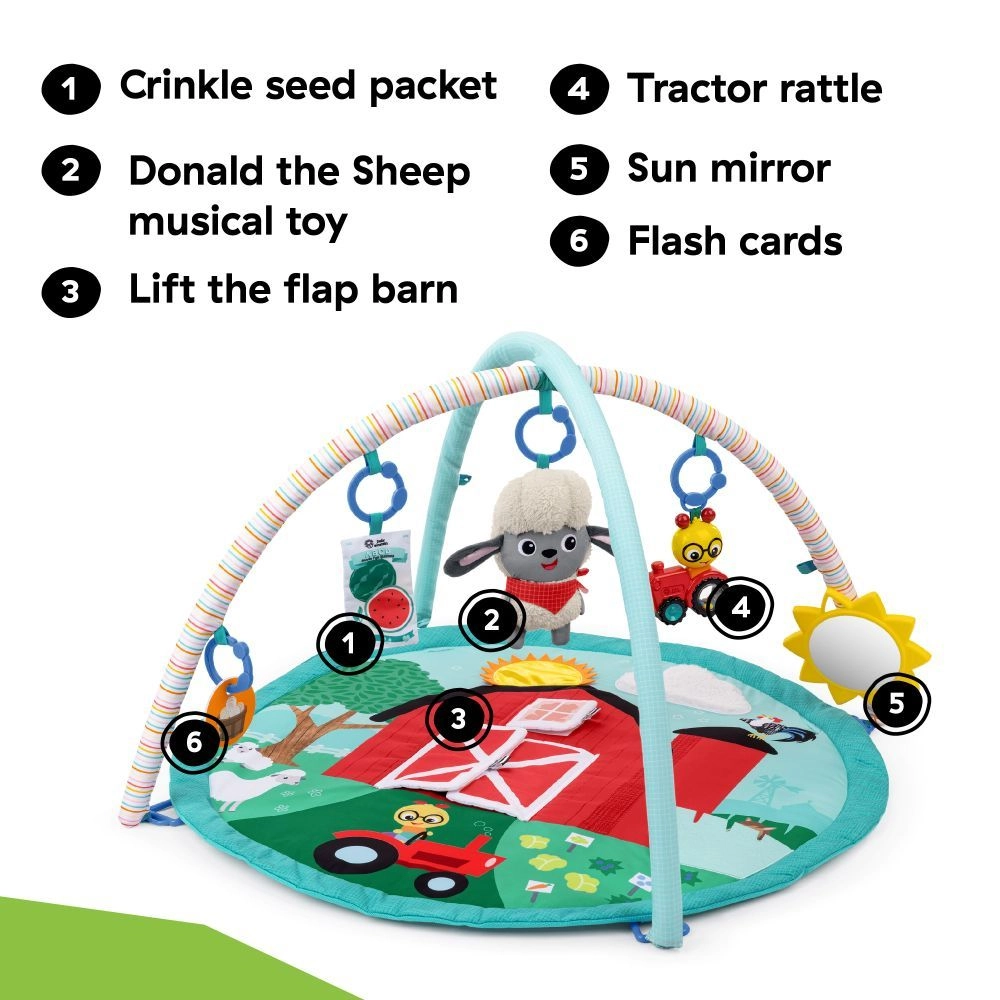Happy Harvest Touch & Feel Activity Gym - 0+ months