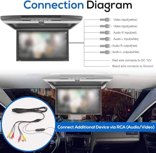 MP5 Ceiling Display - 17.3 Inch