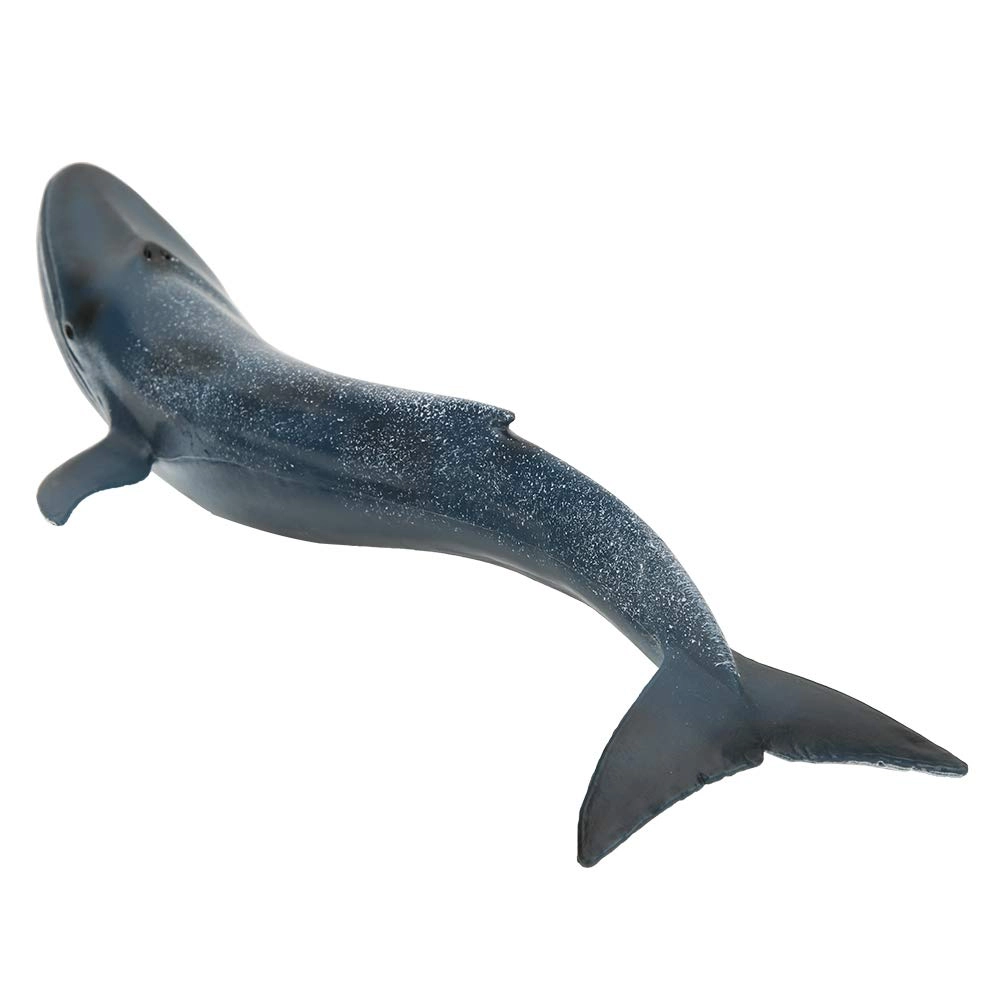 Cryfokt Vivid Fish Model - 10.6x3.9x2 Inches Plastic