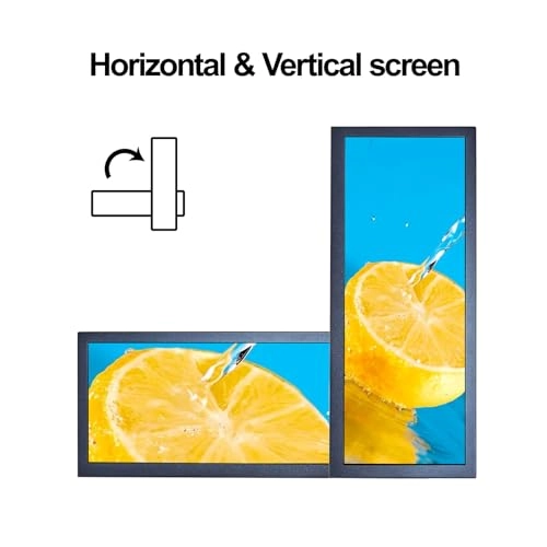 VS123AZ01 - 720P 12.3 inch