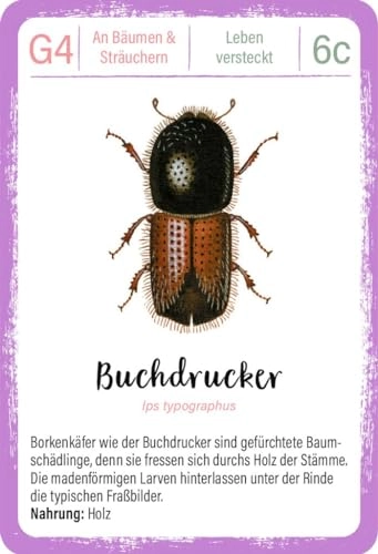 Expedition Natur Quartett Minimonster - Kid