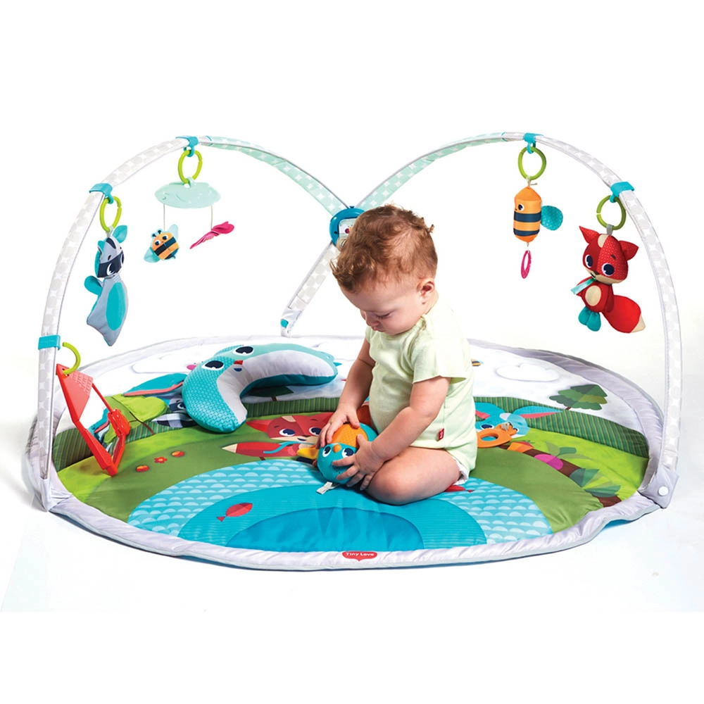 Dynamic Developmental Activity Playgm - 0 month